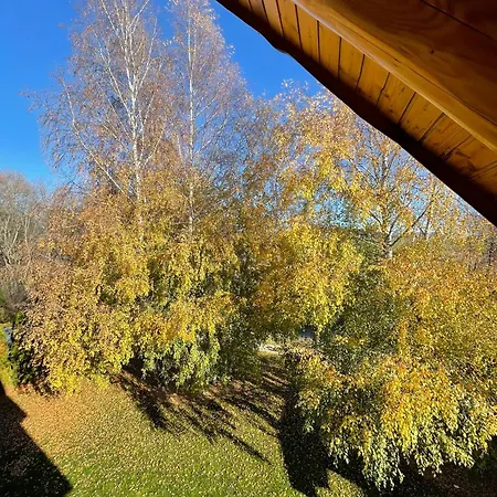 Zrub Mrázik Villa *